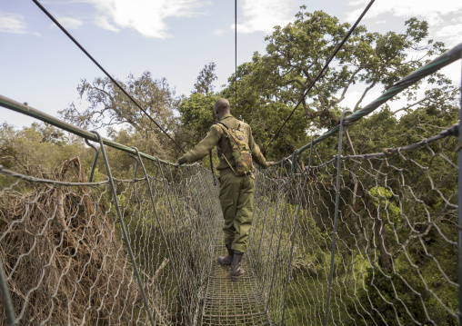 A ranger walking on a rope bridge over the jungle, Laikipia county, Nanyuki, Kenya