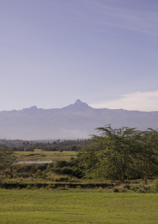 Grassy area in front of mt kenya, Laikipia county, Nanyuki, Kenya