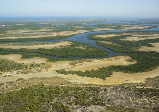 Mangrove near the sea, Lamu county, Lamu, Kenya