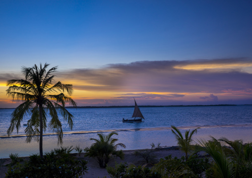Dhow in the sunset, Lamu county, Kizingoni beach, Kenya