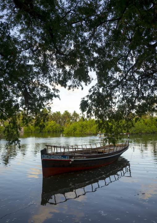Fishing dhow moored along coastline, Lamu county, Matondoni, Kenya