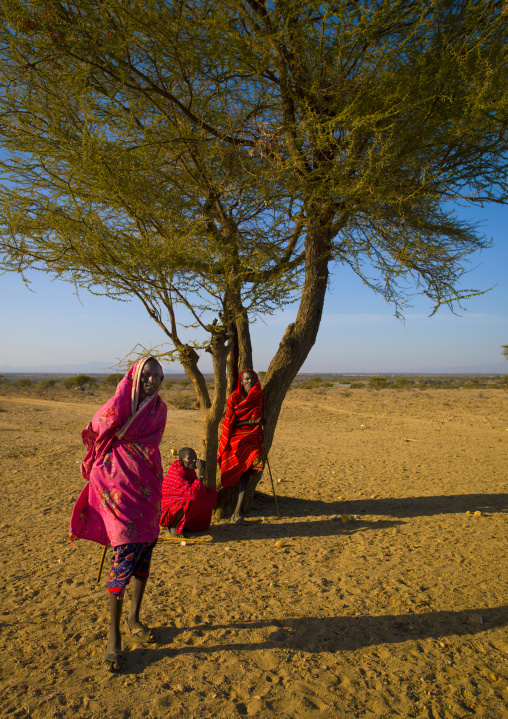 Samburu men under a tree, Samburu county, Samburu national reserve, Kenya