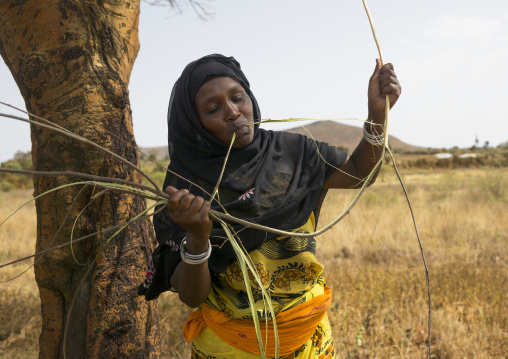 Borana woman cutting wood with her teeth to build a house, Marsabit district, Marsabit, Kenya