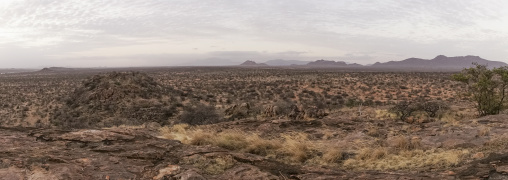 Panoramic view of the savannah, Samburu county, Samburu national reserve, Kenya