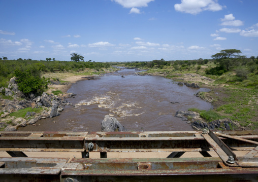Mara bridge crossing the river mara, Rift valley province, Maasai mara, Kenya