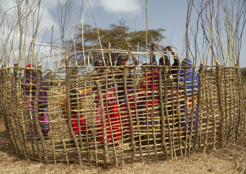 Borana women building a house with wood, Marsabit district, Marsabit, Kenya