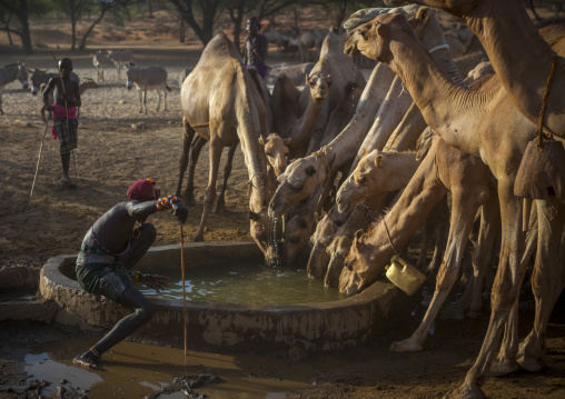 Rendille warriors giving water to their camels, Marsabit district, Ngurunit, Kenya