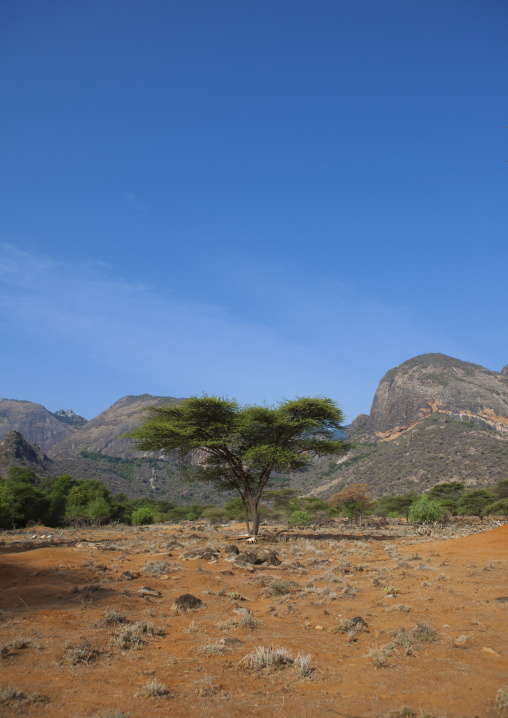 Ndoto mountains landscape, Marsabit district, Ngurunit, Kenya