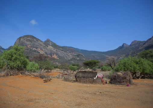Rendille traditional hut, Marsabit district, Ngurunit, Kenya
