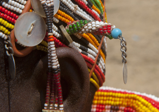 Detail of a rendille tribeswoman earring, Marsabit district, Ngurunit, Kenya
