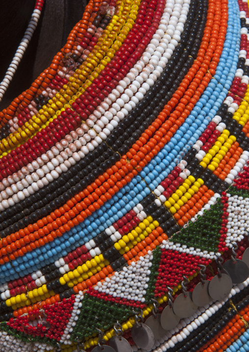 Detail of a rendille tribeswoman wearing traditional headdress and jewellery, Marsabit district, Ngurunit, Kenya