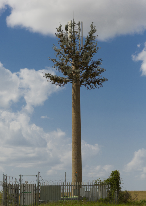 Fake palm used as a phone antenna, Rift valley province, Maasai mara, Kenya