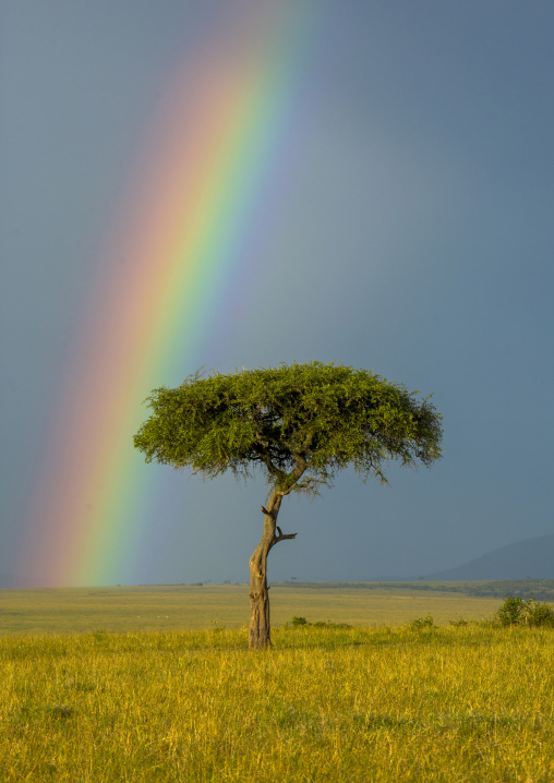 Rainbow after rainstorm, Rift valley province, Maasai mara, Kenya