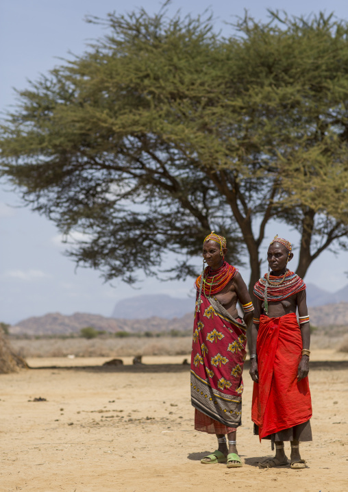 Rendille tribeswomen, Marsabit district, Ngurunit, Kenya