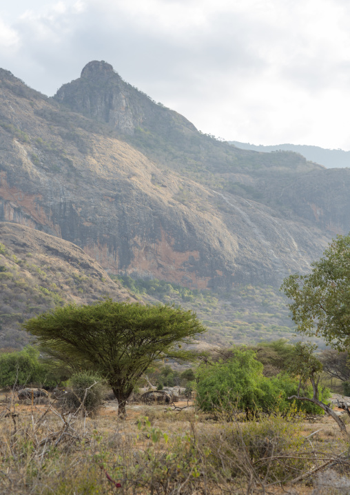 Rendille traditional hut in an arid landscape, Marsabit district, Ngurunit, Kenya