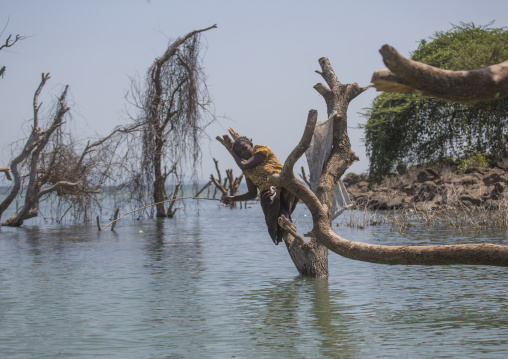 Girl fishing on a tree covered by increased water, Baringo county, Baringo, Kenya