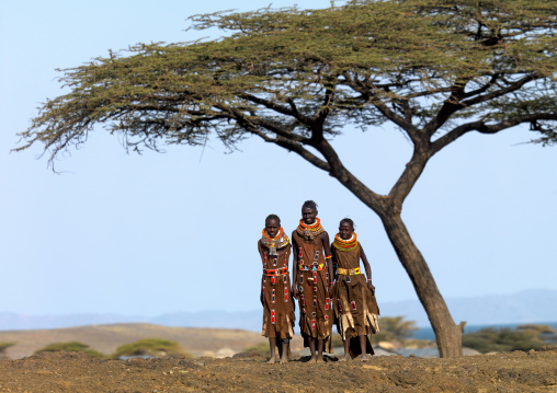 Turkana tribe women standing under an acacia, Rift Valley Province, Turkana lake, Kenya