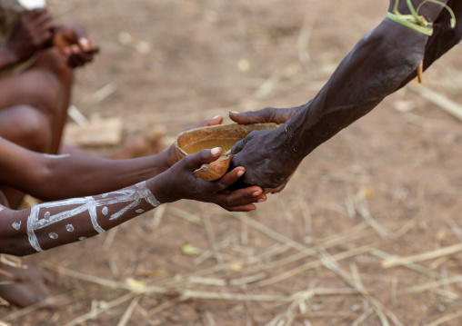 Tharaka tribe people drinking alcohol in a calabash, Laikipia County, Mount Kenya, Kenya