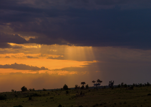 Storm clouds gathering over the savannah, Narok, Siana, Kenya