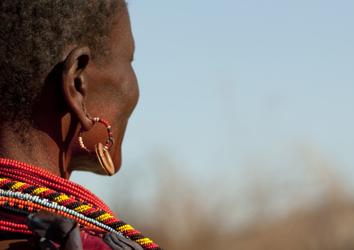 Portrait of a Samburu tribe woman with with beaded earrings, Samburu County, Maralal, Kenya