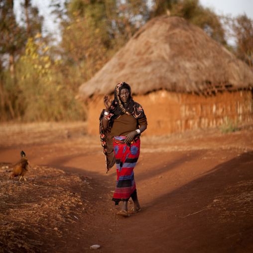 Portrait of a Borana tribe woman in front of her house, Marsabit County, Marsabit, Kenya