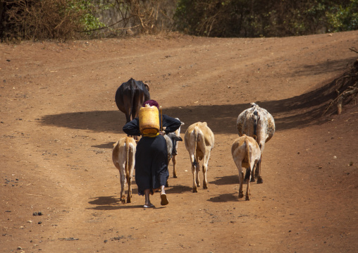 Gabbra tribe woman carrying water on her back, Marsabit district, Marsabit, Kenya