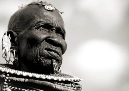 Portrait of a Turkana tribe woman with large earrings and necklaces, Rift Valley Province, Turkana lake, Kenya