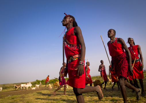 Masai warriors dancing, Nakuru county, Nakuru, Kenya