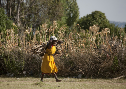 Kenyan woman carrying some wood on her back, Rift Valley Province, Maasai Mara, Kenya