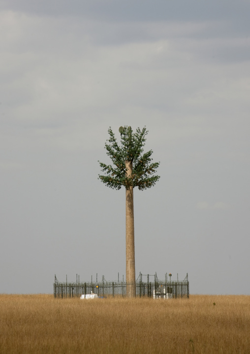Mobile relay antenna looking like a palm tree in the savannah, Rift Valley Province, Maasai Mara, Kenya