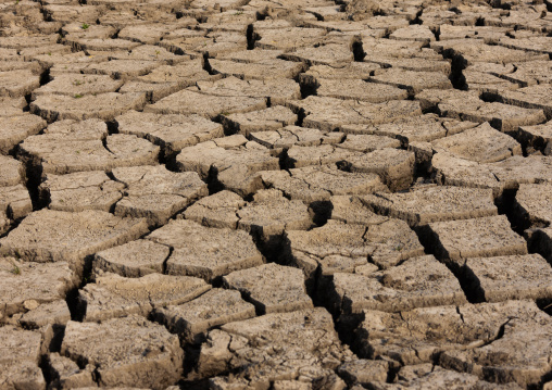 Dry cracked soil, Rift Valley Province, Lake Nakuru, Kenya