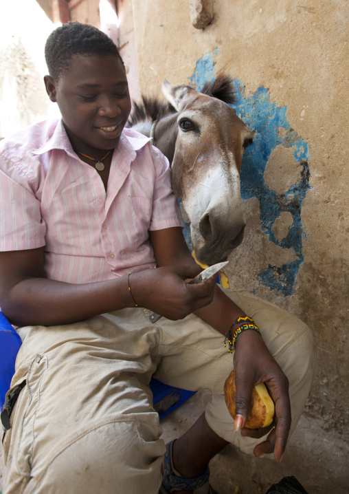 Man giving potatoe peels to a donkey, Lamu County, Lamu, Kenya