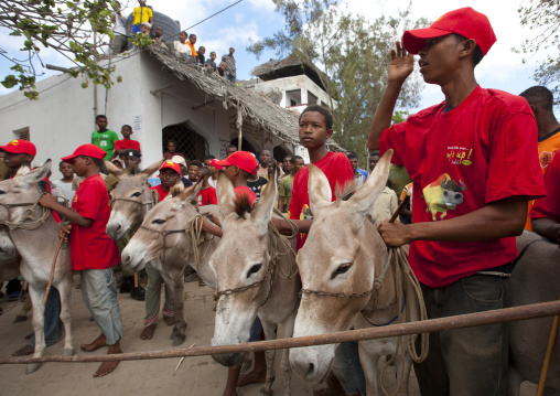 Donkey race during the Maulid festival, Lamu County, Lamu, Kenya