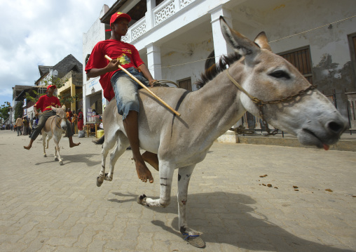 Donkey race during the Maulid festival, Lamu County, Lamu, Kenya