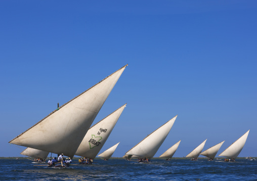Dhow race during the Maulid festival, Lamu county, Lamu, Kenya