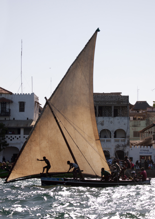 Dhow race during the Maulid festival, Lamu County, Lamu, Kenya