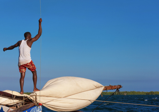 Dhow race during the Maulid festival, Lamu County, Lamu, Kenya