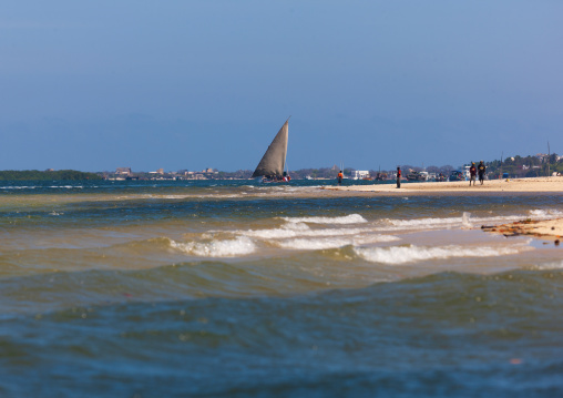 Dhow sailing on the indian ocean, Lamu County, Lamu, Kenya