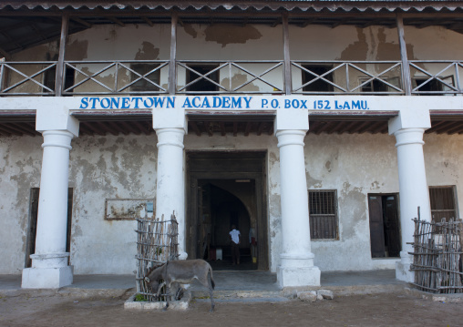 Entrance door of the stonetown academy, Lamu County, Lamu, Kenya