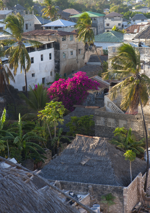 High angle view of the old town, Lamu county, Lamu, Kenya