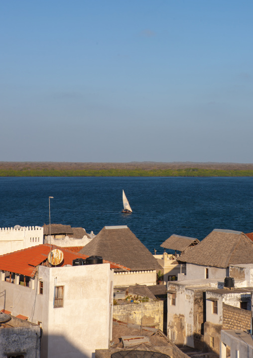 High angle view of the old town with stone townhouses, Lamu County, Lamu, Kenya