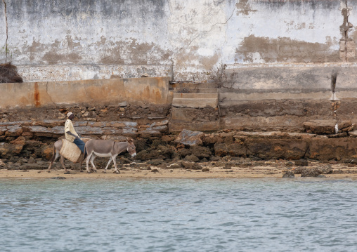 Man riding a donkey, Lamu County, Lamu, Kenya