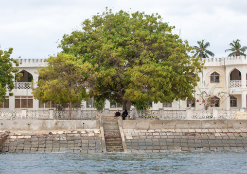 Muslim women chatting under a tree, Lamu County, Lamu, Kenya