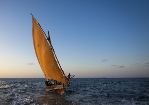 Dhow sailing on indian ocean, Lamu County, Lamu, Kenya