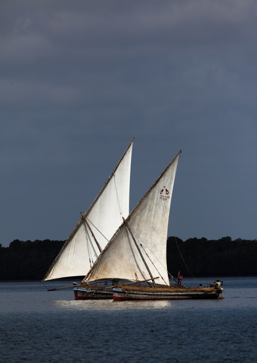 Dhows sailing on the indian ocean, Lamu County, Lamu, Kenya