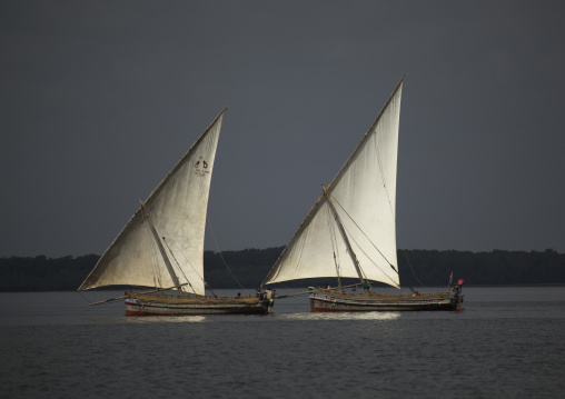 Dhows sailind in the channel under a stormy sky, Lamu County, Lamu, Kenya
