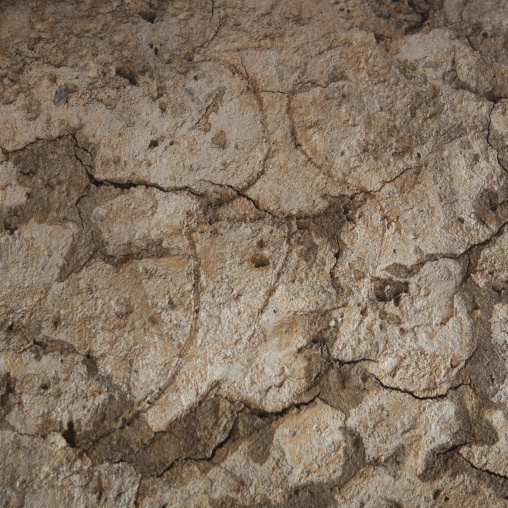 Drawings carved on Takwa ruins, Lamu County, Manda island, Kenya