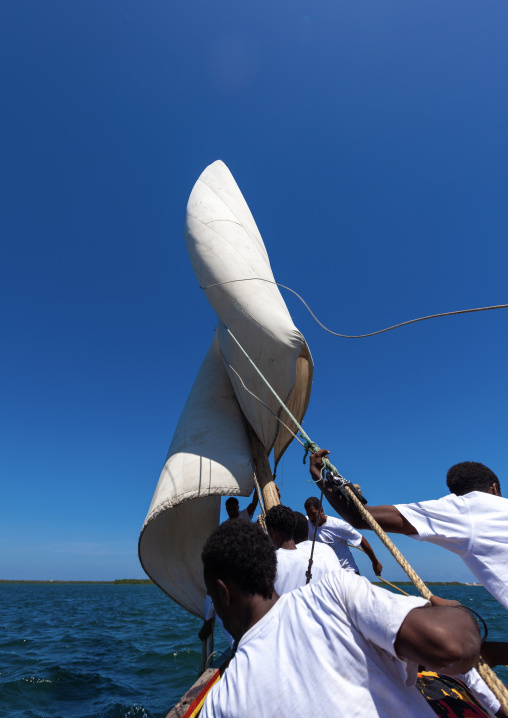 Dhow race during the Maulid festival, Lamu County, Lamu, Kenya