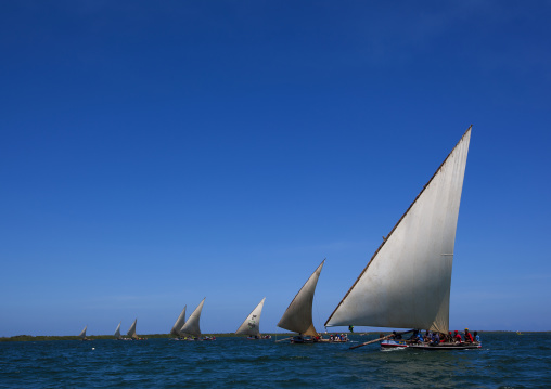 Dhows sailing during the Maulid festival race, Lamu County, Lamu, Kenya