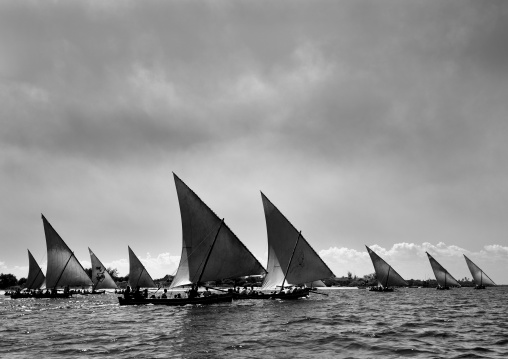 Dhows sailing during the Maulid festival race, Lamu County, Lamu, Kenya